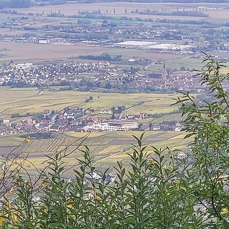 Villa Sur La Route Du Vin Rorschwihr Esterno foto