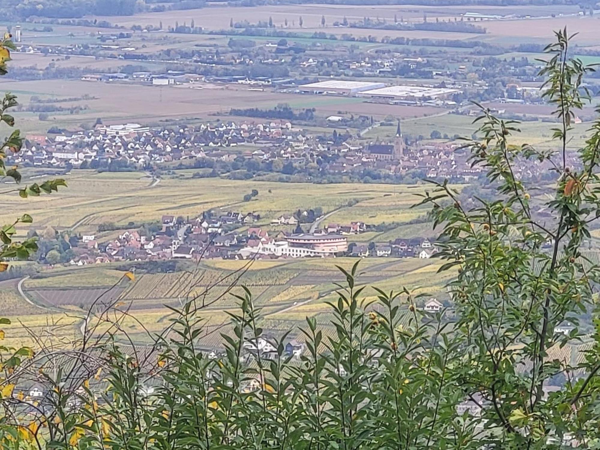 Villa Sur La Route Du Vin Rorschwihr Esterno foto
